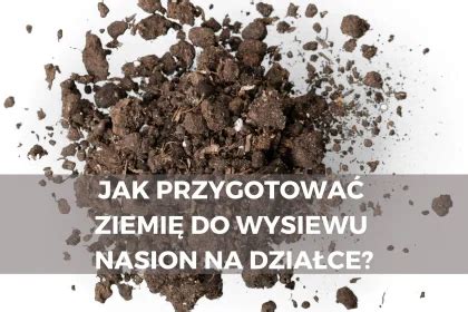 Infografika przedstawiająca mechanizmy precyzyjnego wysiewu nasion