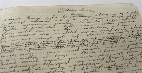Fragment rękopisu słownika połabskiego z notatkami