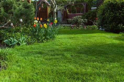 Ilustracja przedstawiająca zadbany, zielony trawnik w ogrodzie.