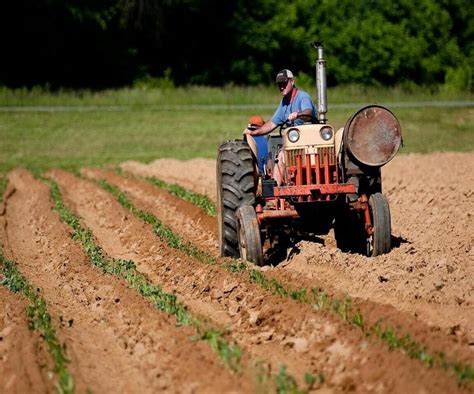 Rolnik na traktorze Zetor 7211 podczas prac polowych