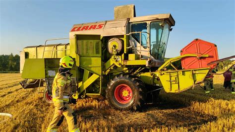 zdjęcie historycznego kombajnu zbożowego ciągniętego przez konie