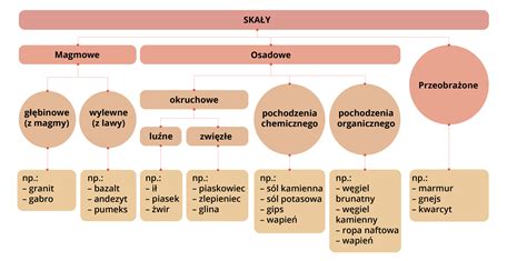 infografika przedstawiająca podział minikoparek ze względu na rocznik i stan techniczny