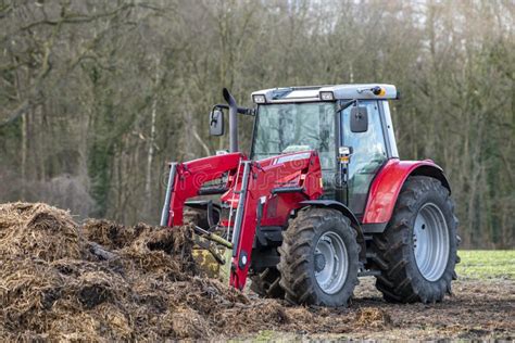 Thematic photo of a tractor with a front loader removing manure from a barn