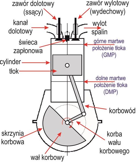 przekrój silnika kosiarki z zaznaczonym tłokiem i pierścieniami