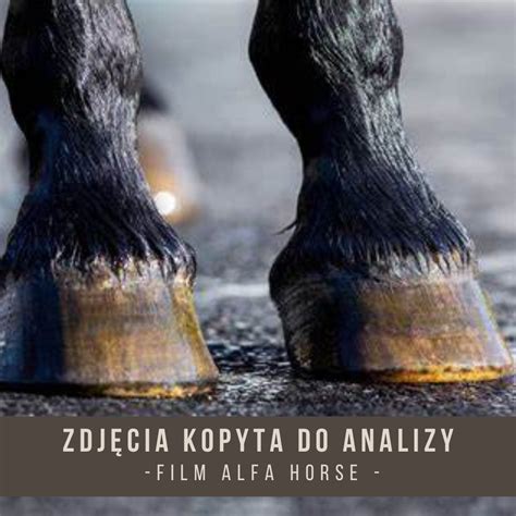 schemat kopyta do formowania opon
