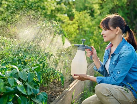 Thematic photo of a person spraying plants in a garden