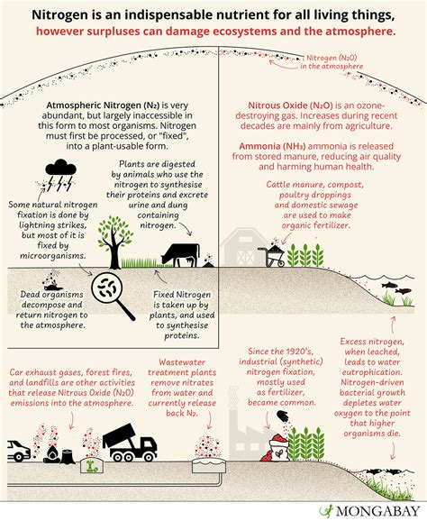Infographic comparing nitrogen losses in different application methods