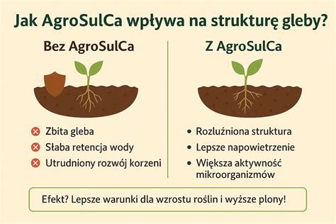 Schemat przedstawiający korzyści z głęboszowania: napowietrzenie gleby i rozwój korzeni