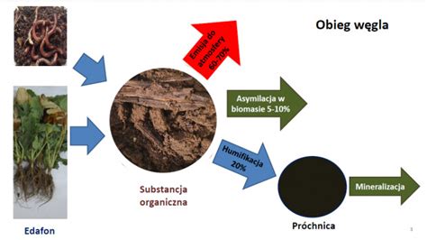 Schemat działania głębosza w glebie