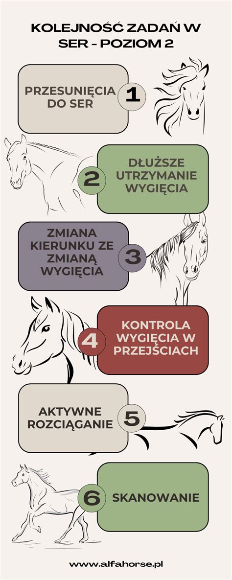 Infografika przedstawiająca prawidłową kolejność dodawania składników do betoniarki