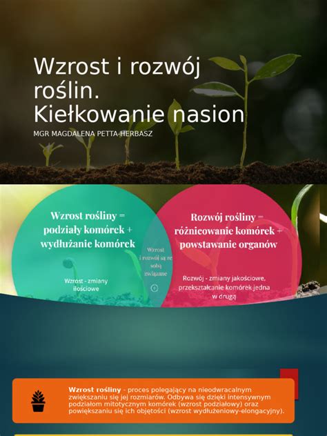 Infografika przedstawiająca wpływ ugniatania gleby na rozwój roślin