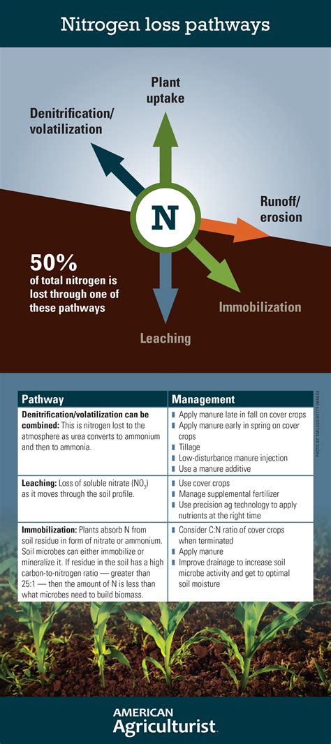 Comparison chart showing nitrogen loss for different application methods (splash, trailing hose, shallow injection)