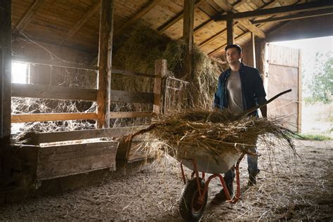 miniładowarka w gospodarstwie rolnym z załadunkiem siana na przyczepę