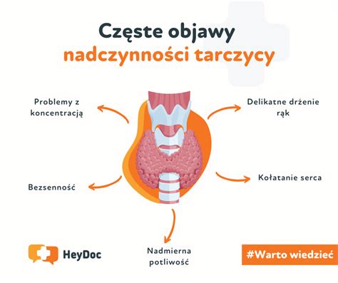 Ilustracja przedstawiająca czynności konserwacyjne przy zamiatarce