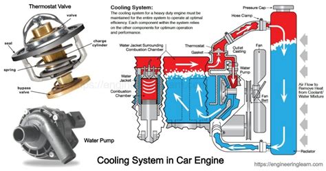Infographic of a modern turbodiesel engine with highlighted cooling system components