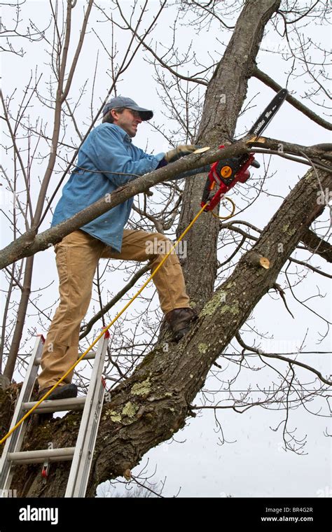 The Powermat PM-PSP-2HP chainsaw in action, cutting a tree branch.