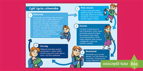Infografika przedstawiająca timeline rozwoju ruchu QAnon i jego związek z memami