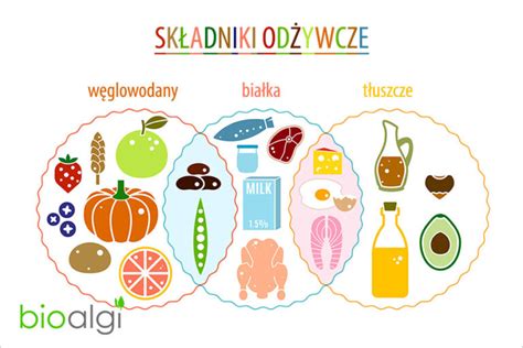 Infografika: regeneracja gleby i składniki odżywcze