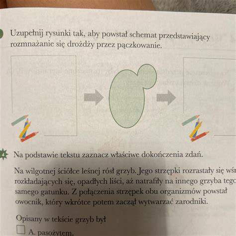 Schemat przedstawiający różnicę między prawidłowo ściętym źdźbłem trawy a postrzępionym przez tępy nóż