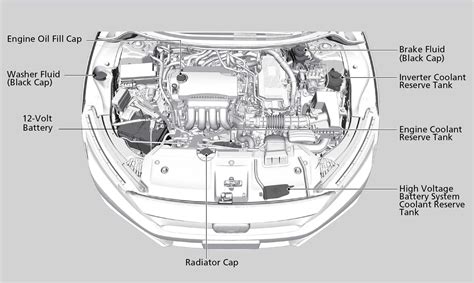 Comparison image of different fluid reservoirs under the hood, clearly labeling each one to prevent confusion.