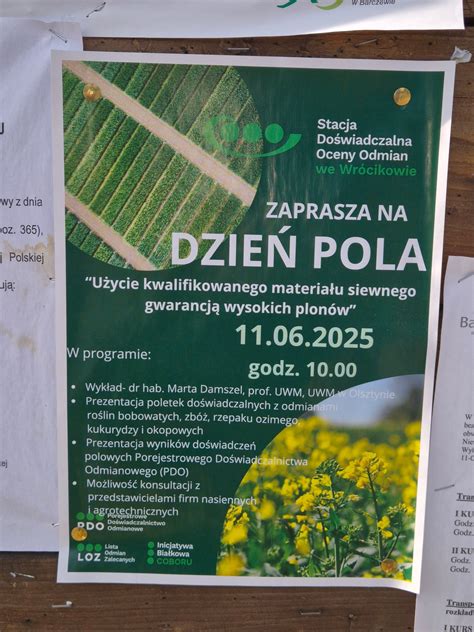 Plan poletek doświadczalnych dla rzepaku
