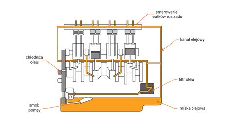 Przekrój silnika hydraulicznego z zaznaczonymi elementami wewnętrznymi
