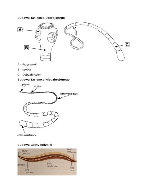 Schematyczny rysunek betoniarki z zaznaczonymi kluczowymi częściami zamiennymi.