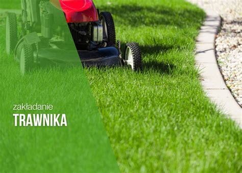 Zdjęcie przedstawiające różnicę między trawnikiem wysianym ręcznie a siewnikiem