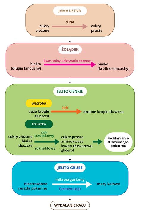 Schemat porównujący krople drobne i grube, ilustrujący znoszenie przez wiatr
