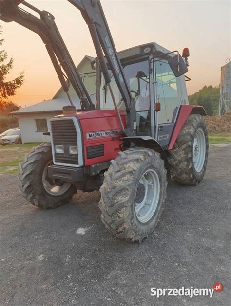 Zdjecie ciągnika Massey Ferguson z ładowaczem czołowym (turem) w akcji, np. podczas załadunku obornika lub balotów