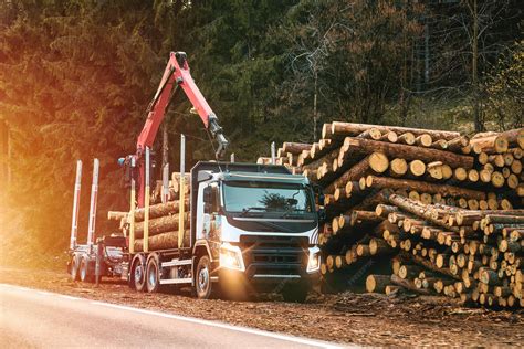 Thematic photo of a HIAB timber grab in action, loading logs onto a truck