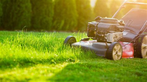 Thematic photo of a well-maintained lawn with a lawnmower in the background