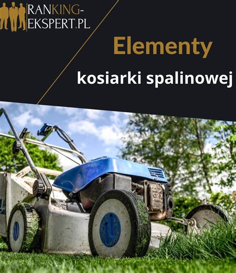 Infografika przedstawiająca kluczowe cechy zamiatarki spalinowej