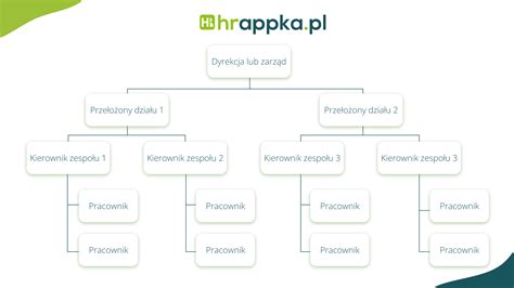 Schemat przedstawiający podział ogłoszeń glebogryzarek na Allegro według kategorii