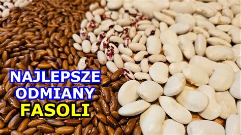 zdjęcie nasion po inkrustacji