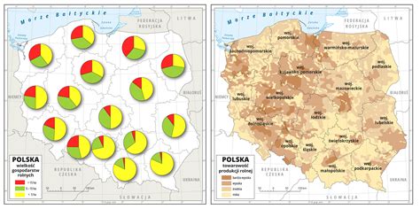 Ilustracja porównująca wielkość traktorków do różnych powierzchni trawników