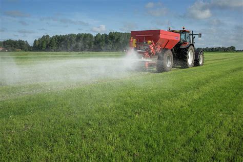 Thematic photo of a strawberry field with a specialized fertilizer spreader in action