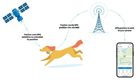 Złożona infografika pokazująca działanie systemów GPS i automatyzacji w opryskiwaczu