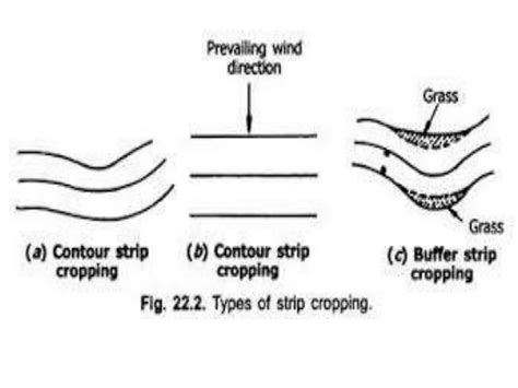 Infographics or diagrams showing the principle of strip-till or TERRASTRIP