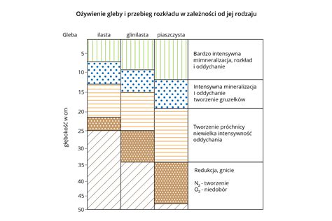 Porównanie tekstury gleby lekkiej i gliniastej.