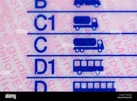 Thematic photo of a car driver holding a B category driving license