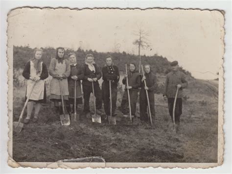 Schemat pracy kultywatora w szkółce leśnej