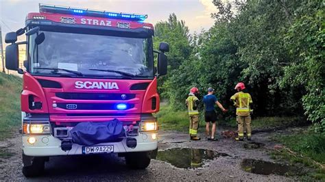 zdjęcie drogi z poboczem i drzewem, przy którym doszło do wypadku