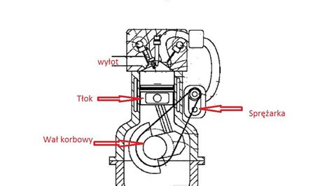 infografika przedstawiająca przekrój silnika dwusuwowego kosy spalinowej z chromowanym cylindrem i dwoma pierścieniami tłoka