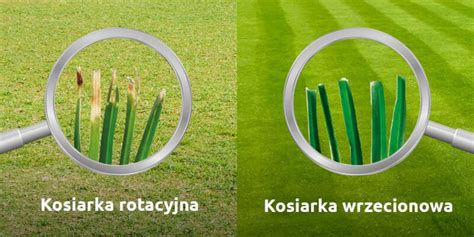 Porównanie wyglądu trawnika po koszeniu kosiarką wrzecionową (idealnie równe źdźbła) i rotacyjną (lekko postrzępione końcówki)