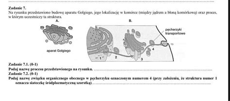 Schemat budowy napinacza gąsienicy z oznaczeniem poszczególnych elementów