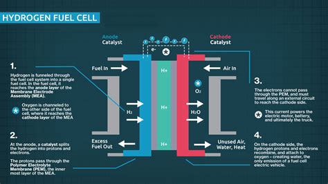 Infographics explaining the operation of a hydrogen fuel cell