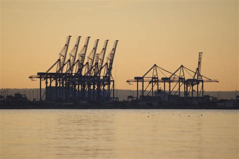 Kontenerowiec i żurawie portowe, zdjęcie