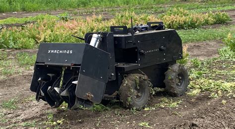 Belgijski robot do sadzenia w akcji