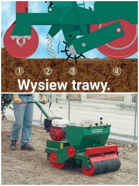 porównanie trawnika sianego ręcznie i siewnikiem